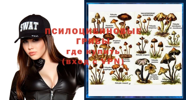 эйфоретик Армянск