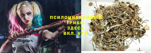 прущие крисы Арсеньев