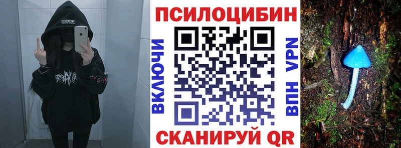 дарнет шоп  Верея  Галлюциногенные грибы ЛСД 