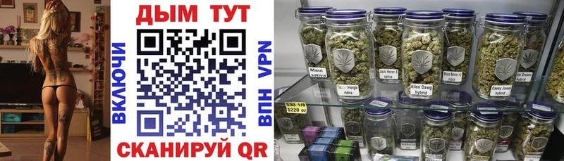 blacksprut вход  Верея  darknet наркотические препараты  цены   Бошки Шишки White Widow 